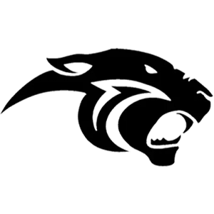 STH 6020 Yüksek Basınçlı Yıkama Makinesi - Kompakt Tasarım ve Güçlü Motor